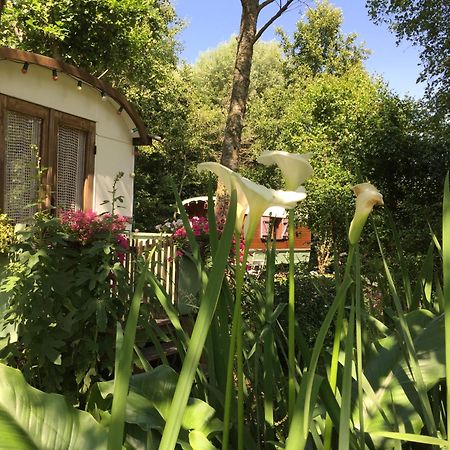 Roulottes Du Rouard Bed & Breakfast Camiers Exterior photo