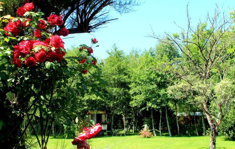 Roulottes Du Rouard Bed & Breakfast Camiers Room photo